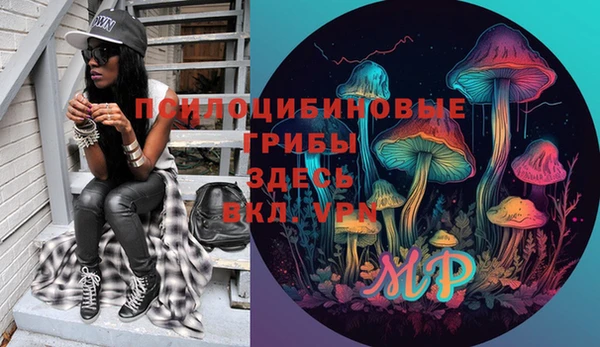 ешки Абаза