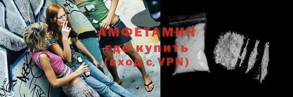 индика Нея