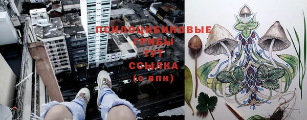 герыч Абинск