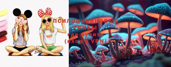 ешки Абаза